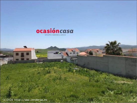 3 SOLARES DE 450 M2 CADA UNO A LA VENTA EN BELMEZ - CORDOBA