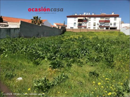 3 SOLARES DE 450 M2 CADA UNO A LA VENTA EN BELMEZ - CORDOBA