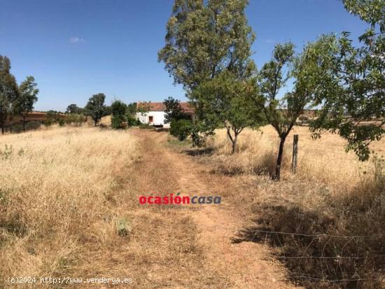  PARCELA CON CASA, PISCINA Y OLIVOS - CORDOBA 