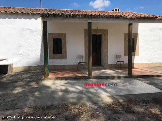 PARCELA CON CASA, PISCINA Y OLIVOS - CORDOBA