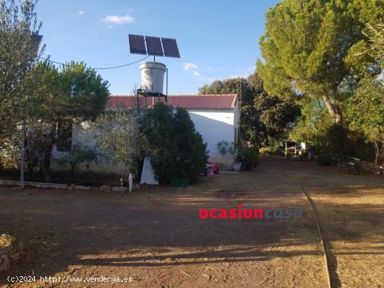 PARCELA CON CASA LEGALIZADA EN PEÑARROYA-PUEBLONUEVO - CORDOBA