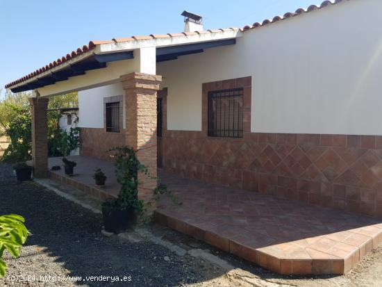 PARCELA CON VIVIENDA ENTRE HINOJOSA Y VALSEQUILLO - CORDOBA