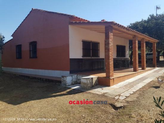  PARCELA CON CASA Y 300 OLIVOS - CORDOBA 