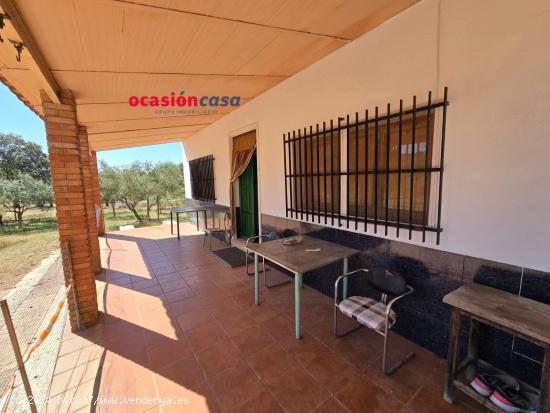 PARCELA CON CASA Y 300 OLIVOS - CORDOBA