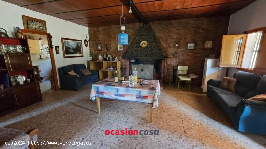 PARCELA CON CASA Y 300 OLIVOS - CORDOBA