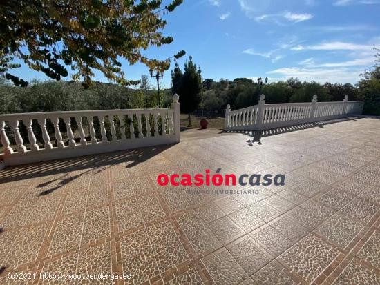 ESPECTACULAR PARCELA CON CASA, PISCINA Y OLIVOS - CORDOBA