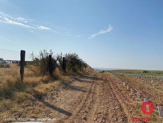 ¡FINCA RÚSTICA JUNTO TURRUÑUELOS - 12.500 metros! - CORDOBA