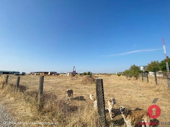 ¡FINCA RÚSTICA JUNTO TURRUÑUELOS - 12.500 metros! - CORDOBA