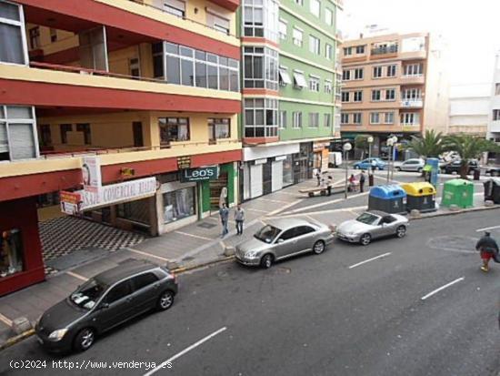 Se Alquila en Las Palmas de Gran Canaria - LAS PALMAS