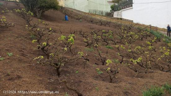  Se Vende en Santa Brigida - LAS PALMAS 