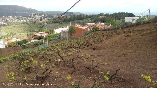 Se Vende en Santa Brigida - LAS PALMAS