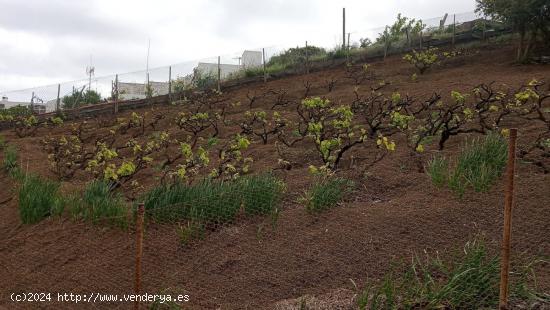 Se Vende en Santa Brigida - LAS PALMAS