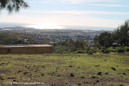  Solar situado en la Primavera, Telde - LAS PALMAS 