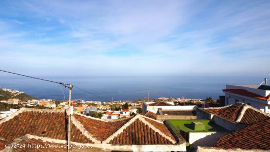 Espectacular finca con terreno urbano y vivienda antigua - SANTA CRUZ DE TENERIFE