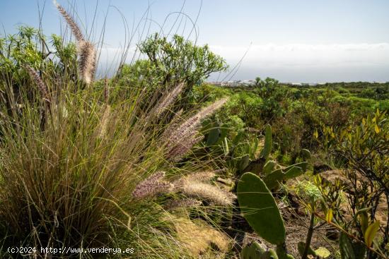  Terreno en La Gallega. - SANTA CRUZ DE TENERIFE 