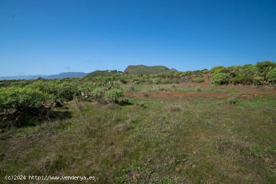 Terreno en La Gallega. - SANTA CRUZ DE TENERIFE