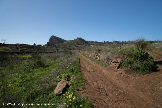 Terreno en los Baldios - SANTA CRUZ DE TENERIFE