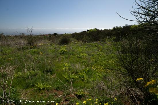 Terreno en los Baldios - SANTA CRUZ DE TENERIFE