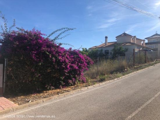 TERRENO IDEAL PARA CHALET EN LA JULIANA ( ALGORFA) - ALICANTE