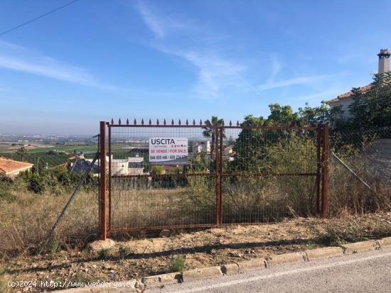 TERRENO IDEAL PARA CHALET EN LA JULIANA ( ALGORFA) - ALICANTE