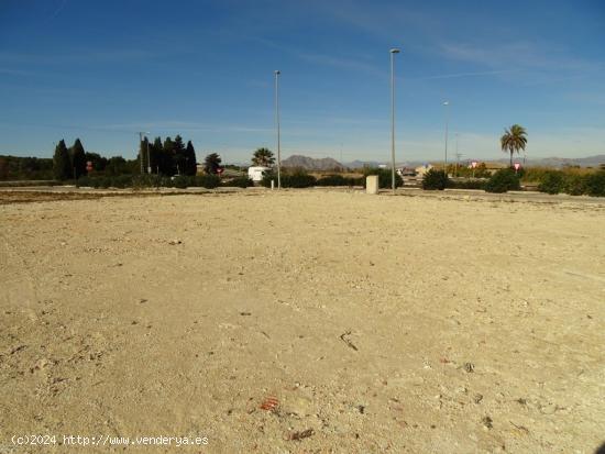 PARCELA INDUSTRIAL EN POLIGONO  LOS VALEROS  BENIJOFAR - ALICANTE