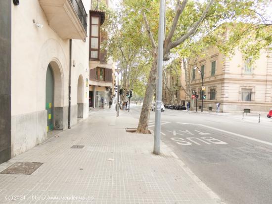 Aparcamiento en zona Plaza Patines, Palma - BALEARES