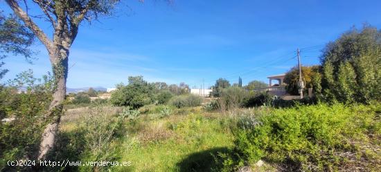  Conjunto de tres terrenos urbanos en Sa Cabaneta, Marratxí - BALEARES 