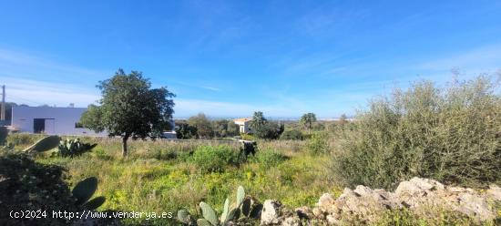 Conjunto de tres terrenos urbanos en Sa Cabaneta, Marratxí - BALEARES