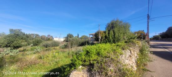 Conjunto de tres terrenos urbanos en Sa Cabaneta, Marratxí - BALEARES