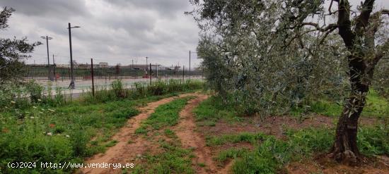 TERRENO TERCIARIO EN MAIRENA DEL ALJARAFE - SEVILLA