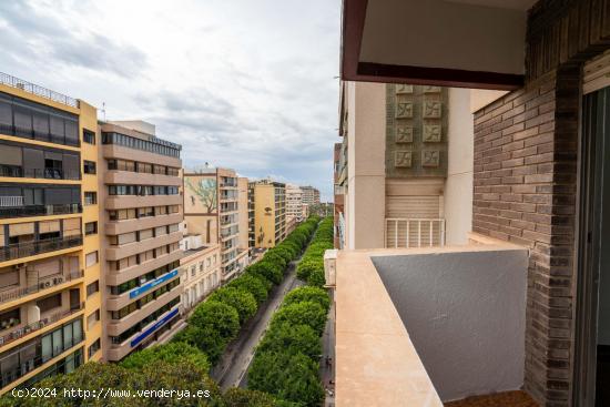 Alquiler de amplia vivienda en el Paseo de Almería - ALMERIA