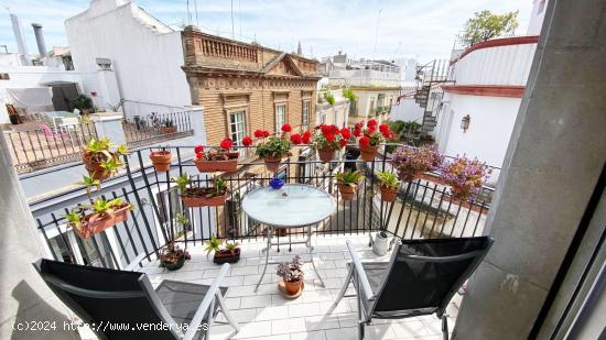  ÁTICO haciendo esquina, en una sola planta y con dos terrazas, junto Plaza Nueva - SEVILLA 