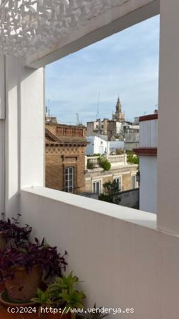 ÁTICO haciendo esquina, en una sola planta y con dos terrazas, junto Plaza Nueva - SEVILLA