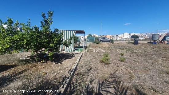 Este terreno urbano se encuentra en la hermosa playa de Daimús a solo 550m de la arena - VALENCIA