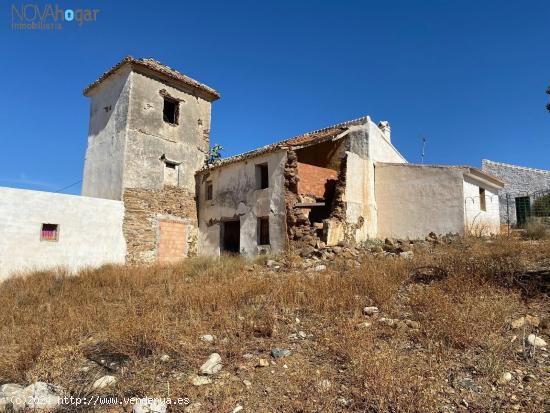  TERRENO RÚSTICO EN LA ZONA CORTIJO DE LA TORRE - PIZARRA - MALAGA 