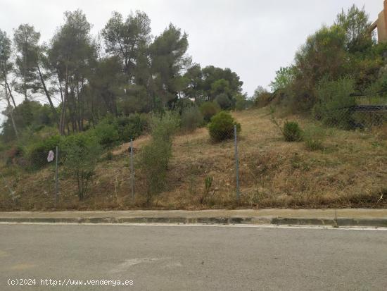 GRAN PARCELA EN AVINYONET DEL PENEDÉS - BARCELONA