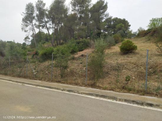 GRAN PARCELA EN AVINYONET DEL PENEDÉS - BARCELONA