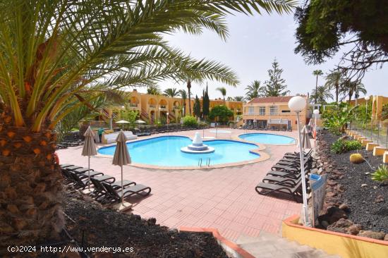 Acogedor apartamento en Maspalomas: Ideal para tu estancia invernal - LAS PALMAS