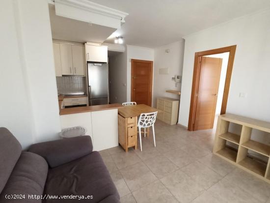 Apartamento en alquiler  - MURCIA