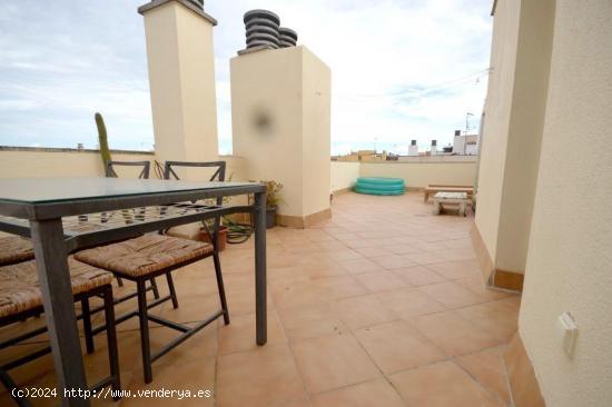 IMPECABLE VIVIENDA DE UNA HABITACION DOBLE MAS TERRAZA SOLARIUM PRIVADA DE 40MT - BALEARES