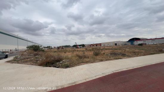 TERRENO 3000 M2 INDUSTRIALES - VALENCIA