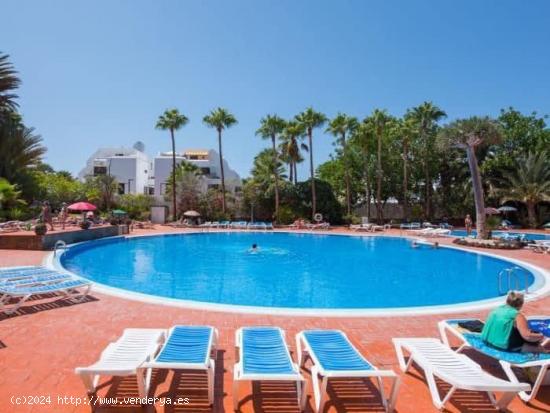 Bonito estudio en Las Americas con vistas al mar - SANTA CRUZ DE TENERIFE