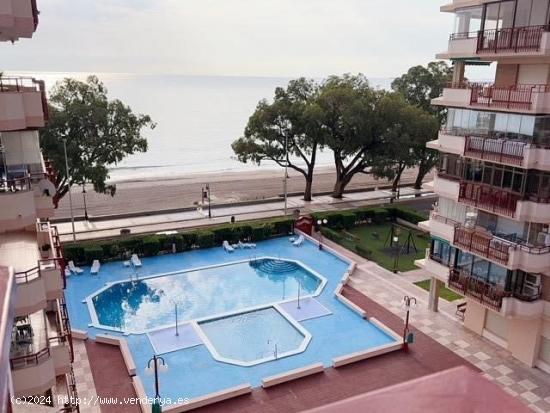 APARTAMENTO DE 3 HABITACIONES Y 2 BAÑOS DISPONIBLE HASTA MAYO 2025 - CASTELLON