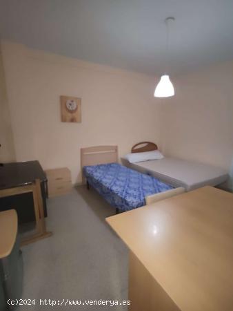 Se alquila habitación en piso de 3 dormitorios en Granada - GRANADA