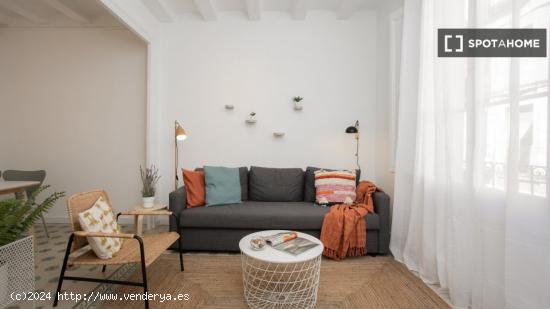 Apartamento de 2 dormitorios en alquiler en El Raval, Barcelona - BARCELONA