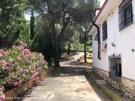 Piso en alquiler de 3 habitaciones en Córdoba - CORDOBA