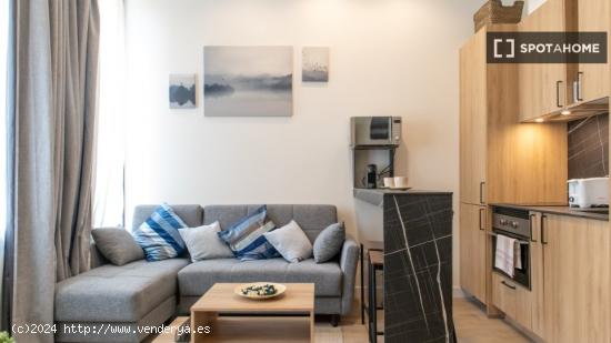 Apartamento entero de 1 habitaciones en Madrid - MADRID