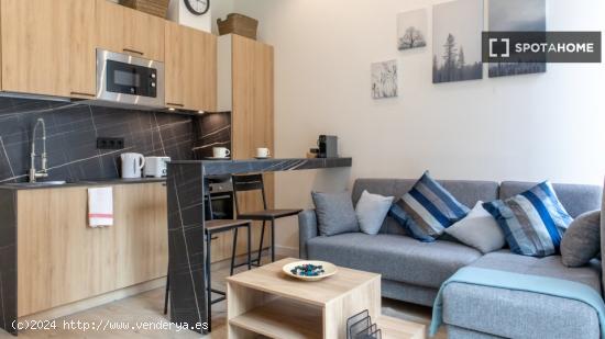 Apartamento entero de 1 habitaciones en Madrid - MADRID