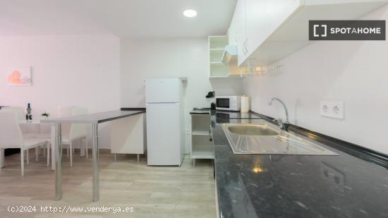 Apartamento entero de 1 habitaciones en Madrid - MADRID