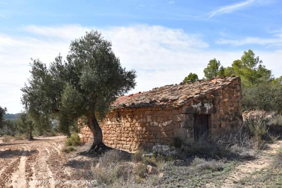 Finca con maset en Mazaleón - TERUEL